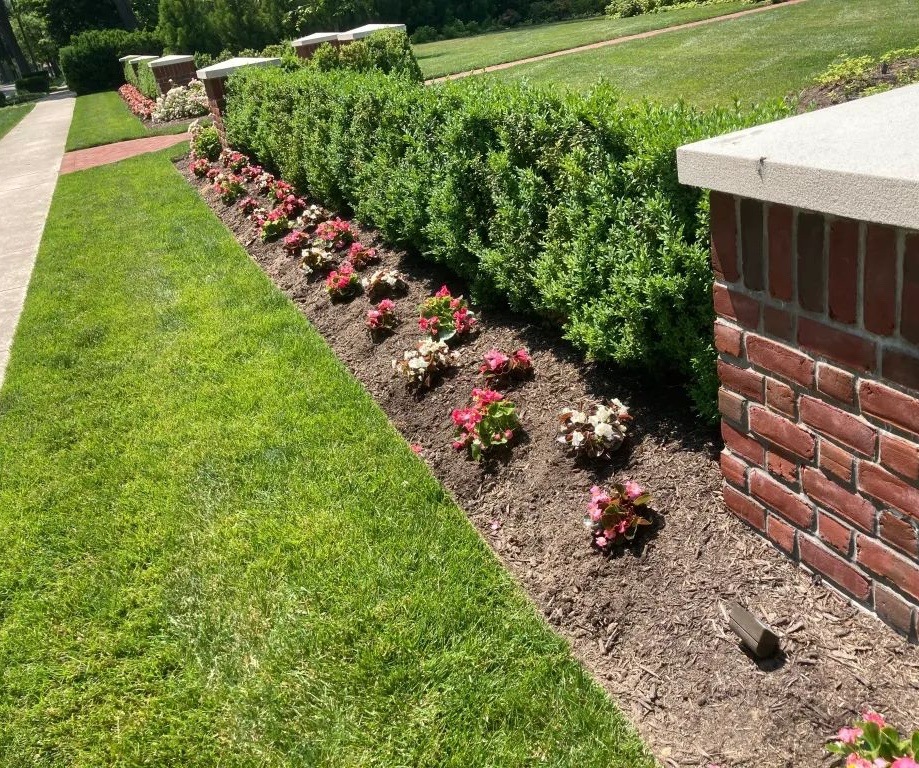 Apex Lawnco LLC Residential Lawn Care and Landscaping in Haddon Township